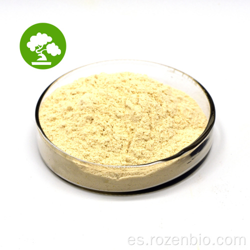 Sophora japonica extracto de quercetina en polvo a granel 98%
